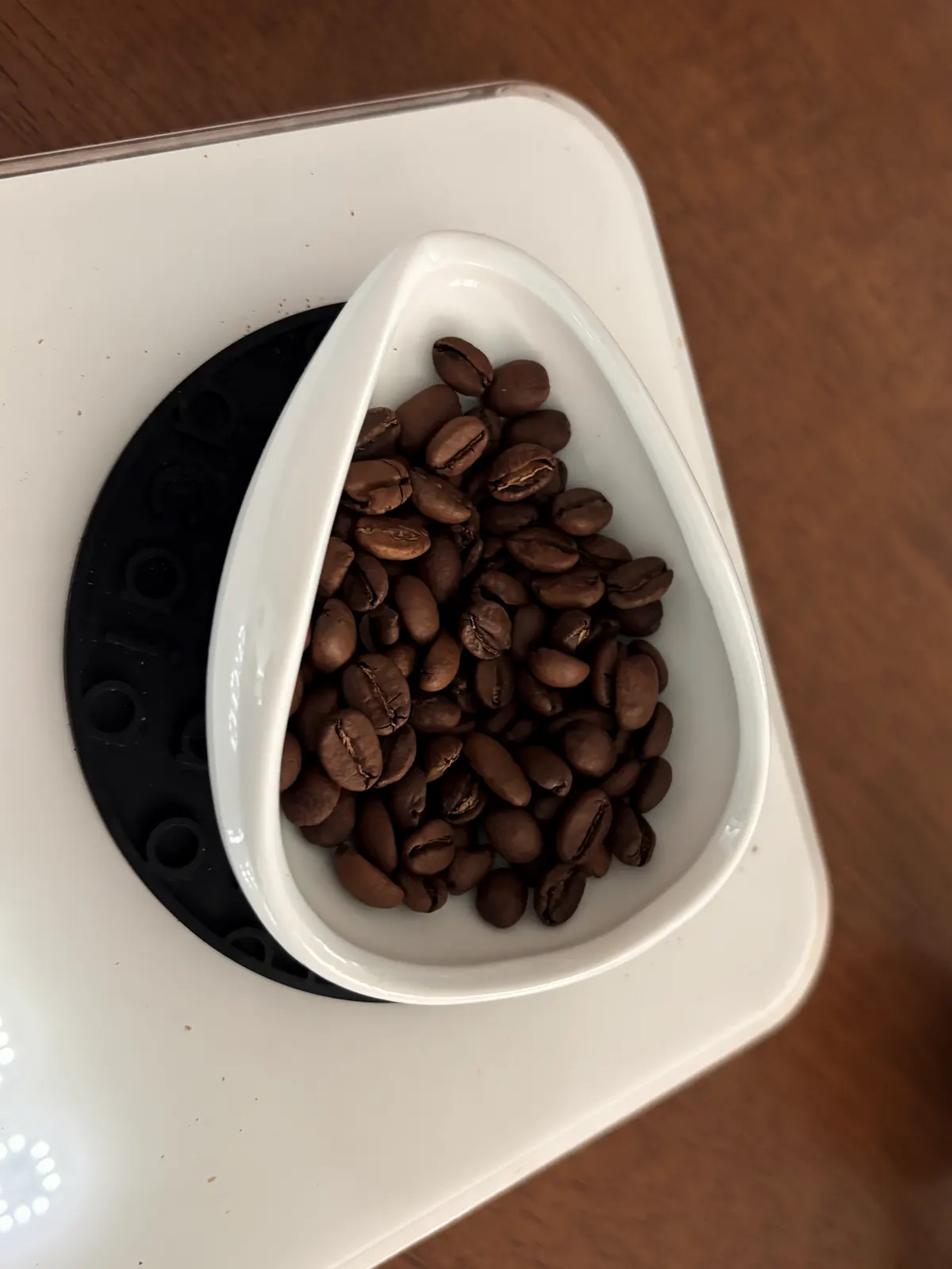 白い皿に盛った焙煎豆